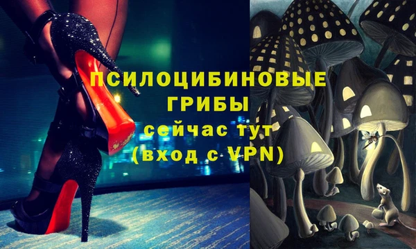 Альфа ПВП Алексин