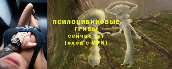 ECSTASY Алексеевка
