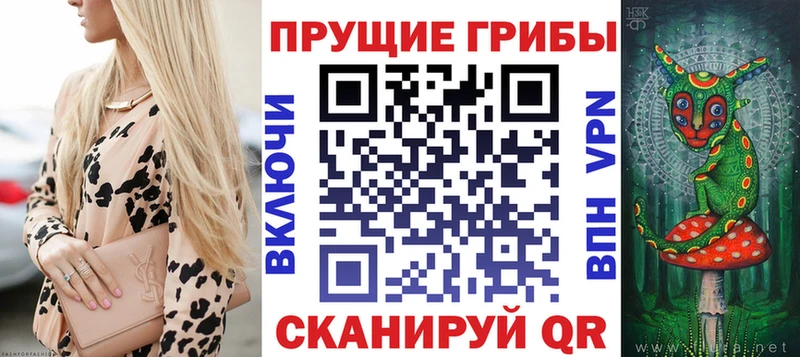Галлюциногенные грибы Psilocybine cubensis  Ачинск 
